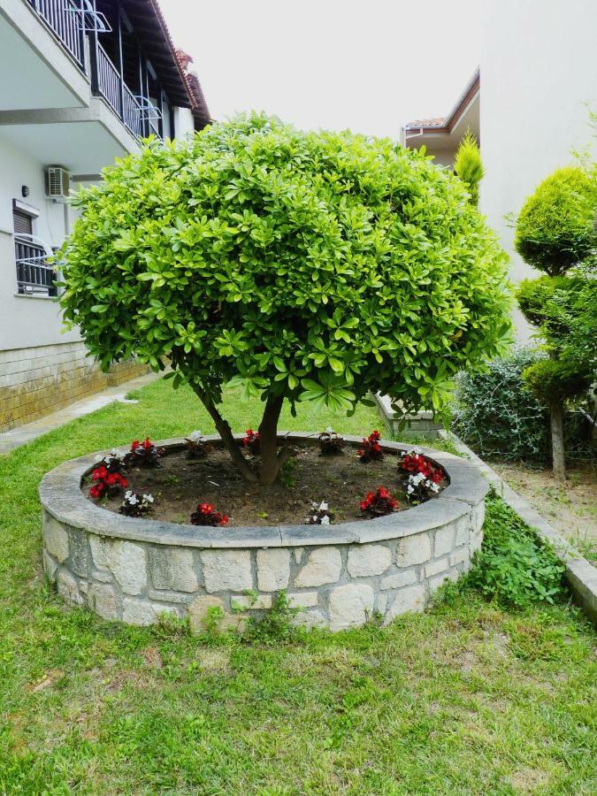 אפיטוס Yannis Apartments מראה חיצוני תמונה