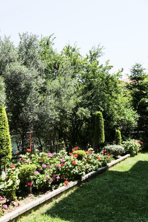 אפיטוס Yannis Apartments מראה חיצוני תמונה