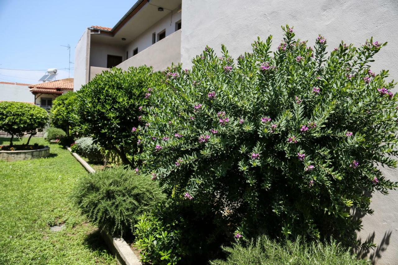 אפיטוס Yannis Apartments מראה חיצוני תמונה